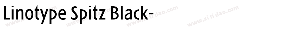 Linotype Spitz Black字体转换